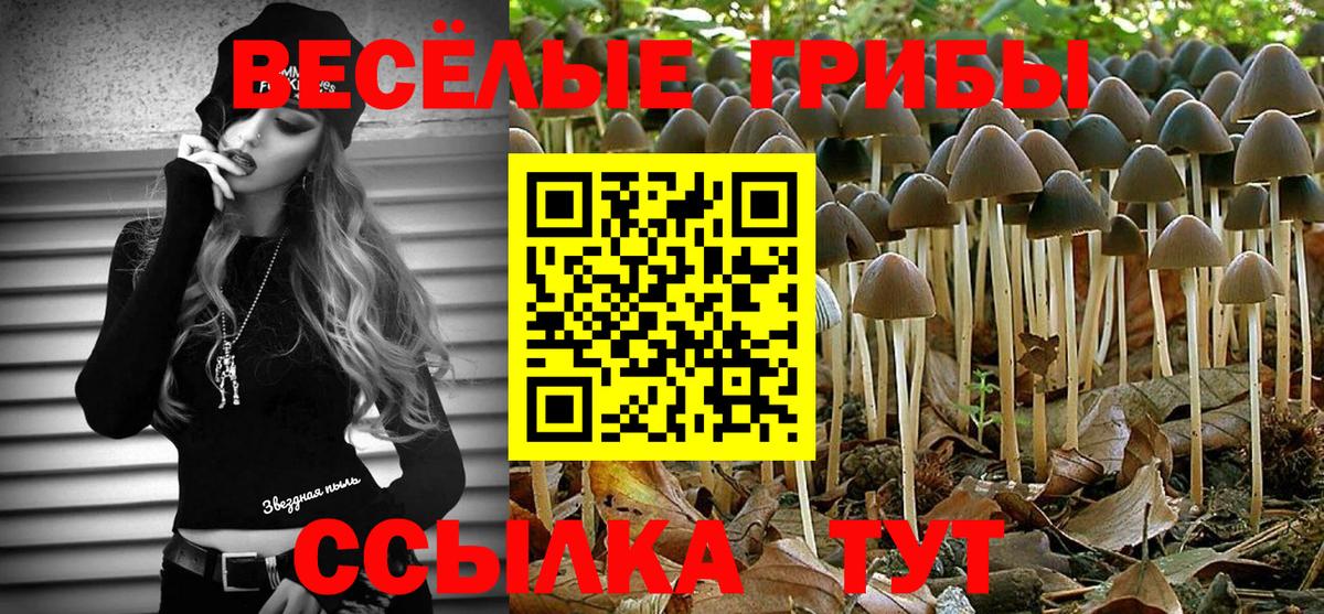 Галлюциногенные грибы GOLDEN TEACHER  Галлюциногенные грибы MAGIC MUSHROOMS  Белебей  Вход с VPN 
