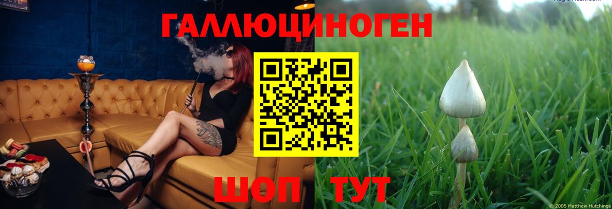 Галлюциногенные грибы MAGIC MUSHROOMS Белебей